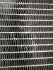 IMG_3070.jpeg
