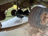 IMG_5735.jpeg