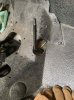 IMG_1114.jpeg