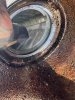 IMG_5814.jpeg