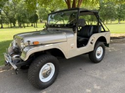53Flattie