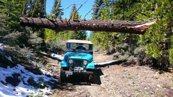 1969jeepercj5