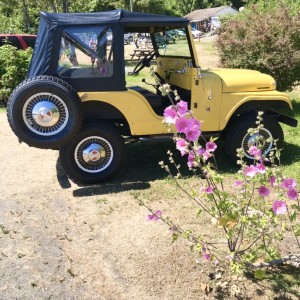 1966 CJ5A