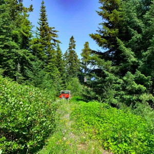 Lookout Mtn. Trail #2