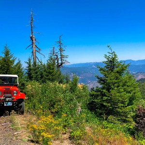 Lookout Mtn. Trail #1