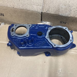 Case Painted