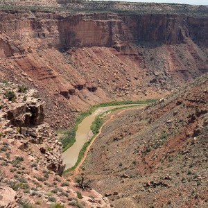 Dolores River Overlook