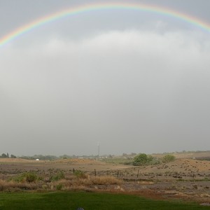 Rainbow