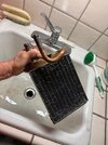 IMG_6597.jpeg