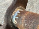 IMG_4148.jpeg