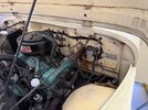 IMG_6520.jpeg