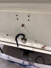 IMG_7103.jpeg