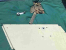 meyer window crank.png