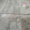 IMG_7801.jpeg