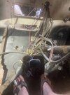 Rats Nest .jpg Rats Nest .jpg