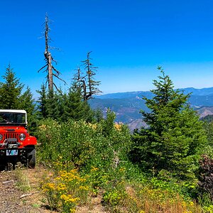 Lookout Mtn. Trail #1